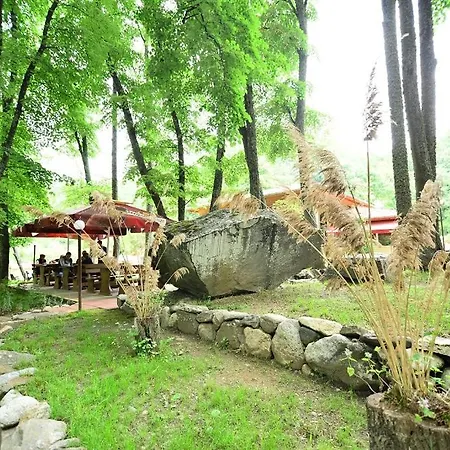 Hotel Valdis *