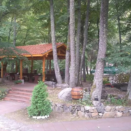 Hotel Valdis *