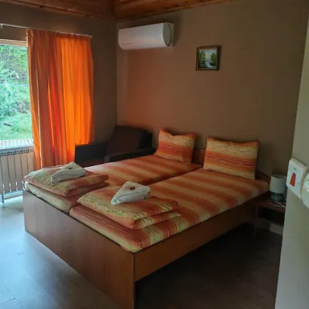 Hotel Valdis *